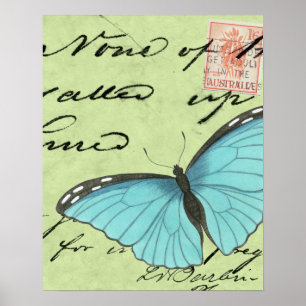 Blue-Winged Butterfly on Teal Postcard Poster