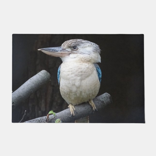 Blue-winged kookaburra doormat (Front)