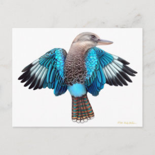 Blue Winged Kookaburra Postcard