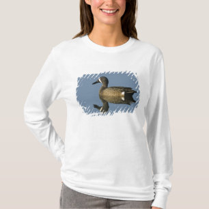 Blue-winged Teal, Anas discors,male, Port T-Shirt