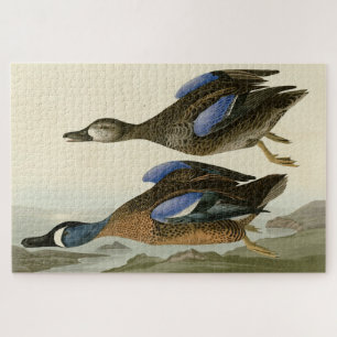 Blue-Winged Teal from Audubon's Birds of America Jigsaw Puzzle