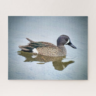 Blue-winged Teal Jigsaw Puzzle