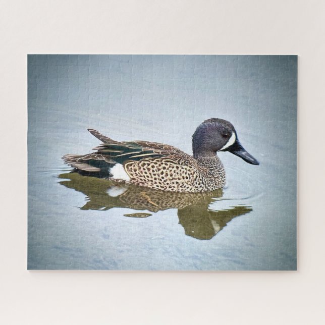 Blue-winged Teal Jigsaw Puzzle (Horizontal)