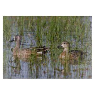 Blue-winged Teal male and female in wetland Cutting Board
