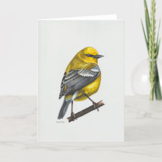 Blue-winged Warbler Art Card