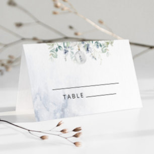 Blue winter eucalyptus wedding place cards