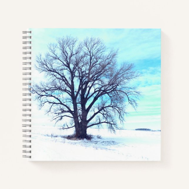 Blue Winter Notebook (Front)