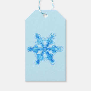 Blue Winter Snowflake Gift Tags