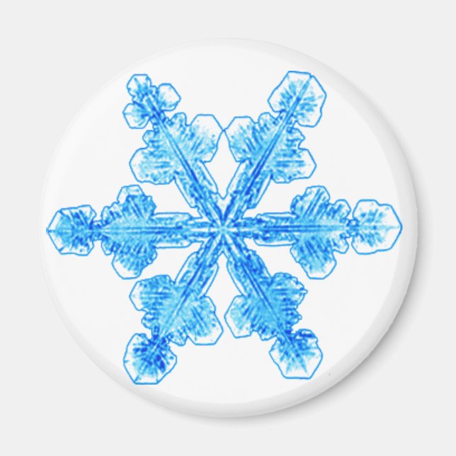 Blue Winter Snowflake Magnet (Front)