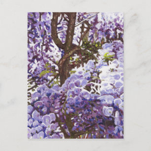 Blue wisteria 2011 postcard
