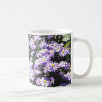 Blue Woods Asters