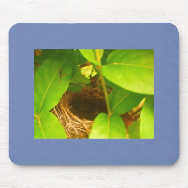 Blue Wrapped Hummingbird Nest Mouse Pad (Front)