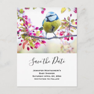 Blue & Yellow Bird Photo Save the Date Invitation Postcard