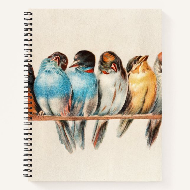 Blue & Yellow Birds Sitting Pretty Notebook (Front)