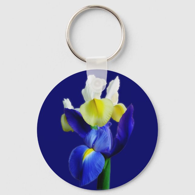 Blue & Yellow Irises 1b Key Ring (Front)