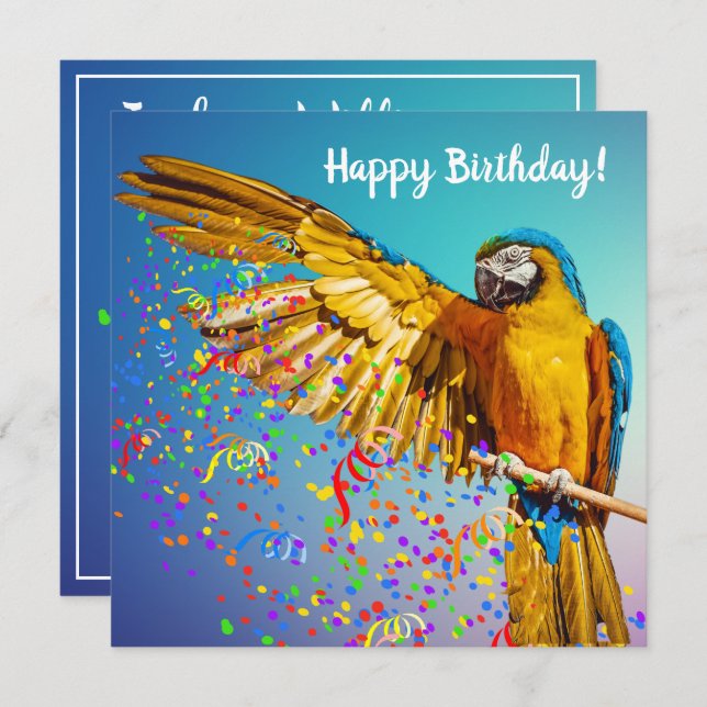 Blue & Yellow Macaw Throws Confetti       (Front/Back)