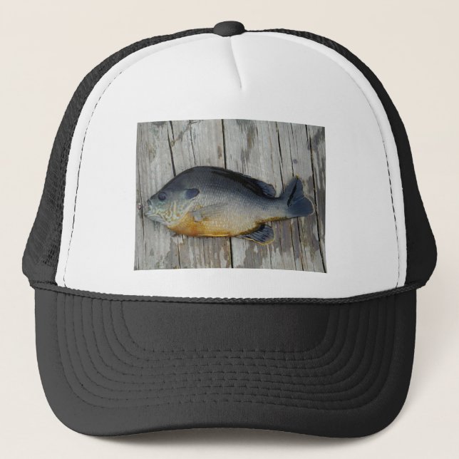 blue yellow purple teal, Bluegill fish on dock Trucker Hat (Front)
