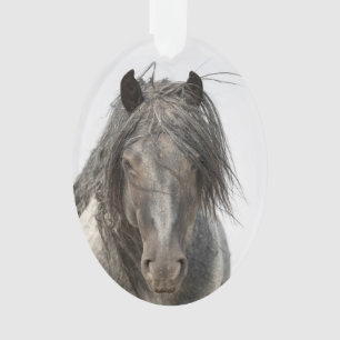 Blue Zeus Come Close Wild Hoofbeats Ornament