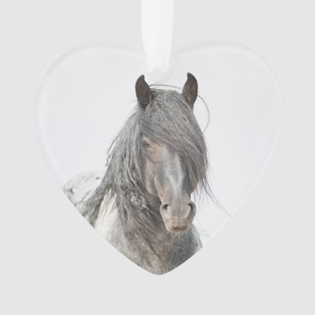 Blue Zeus Heart Wild Hoofbeats Ornament (Front)