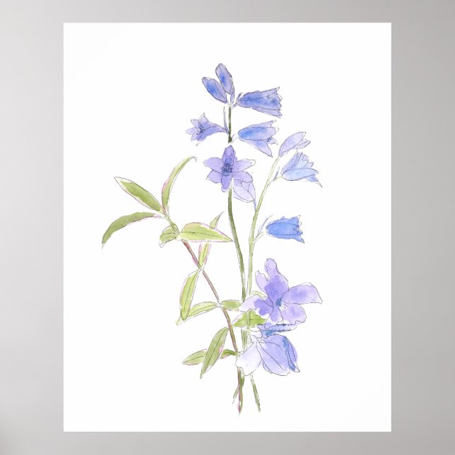 bluebell and violet in and watercolor  poster (Front)