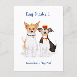 Bluebell & Beth Jack Russells Coronation postcard