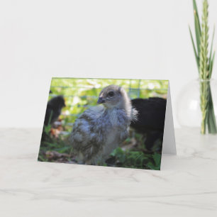 Bluebell Card