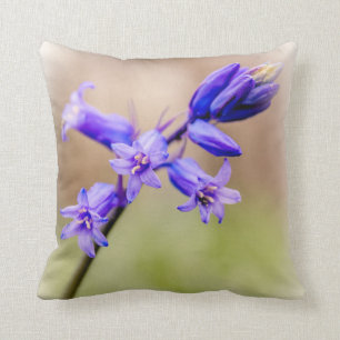 Bluebell cushion