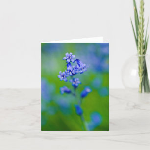 Bluebell flower Greeting card