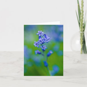 Bluebell flower Greeting card