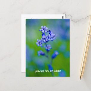 Bluebell flower Postcard