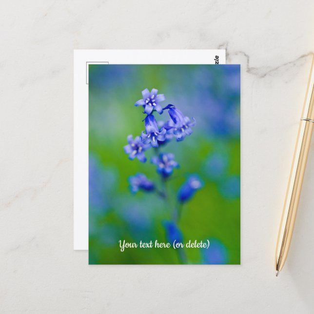 Bluebell flower Postcard (Front/Back In Situ)