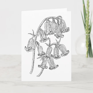 Bluebell Flowers Colour it Yourself Blank Greeting Card