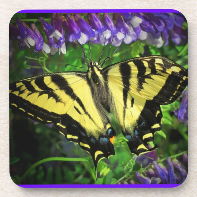 Bluebell Nectar for Butterfly Lunch Coaster (Front)