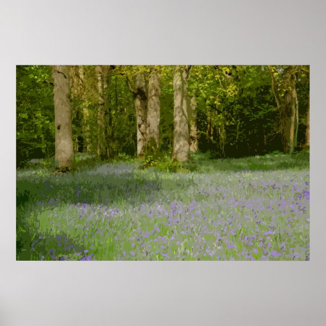 BLUEBELL WOOD 2 POSTER (Front)