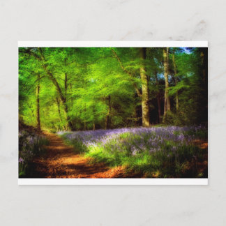 Bluebell wood postcard