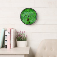 Bluebell Woodland Cute Hedgehogs Spring Green