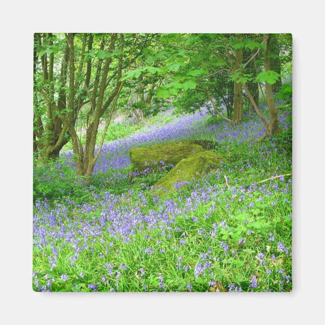 Bluebell Woods Magnet (Front)