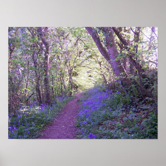 Bluebell Woods Print (Front)