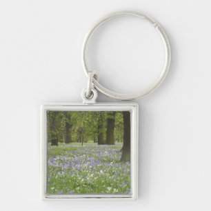 Bluebells and Oak Trees in Spring, Little Hagley Key Ring