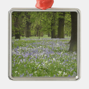 Bluebells and Oak Trees in Spring, Little Hagley Metal Tree Decoration