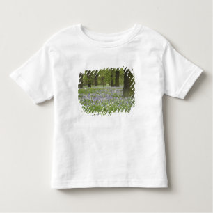 Bluebells and Oak Trees in Spring, Little Hagley Toddler T-Shirt