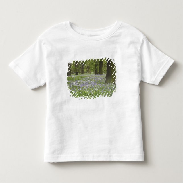 Bluebells and Oak Trees in Spring, Little Hagley Toddler T-Shirt (Front)