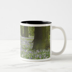 Bluebells and Oak Trees in Spring, Little Hagley Two-Tone Coffee Mug