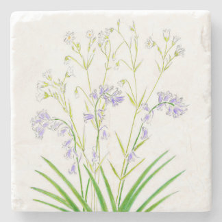 Bluebells and stitchwort stone coaster