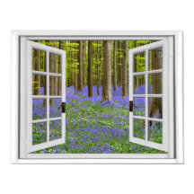 Bluebells and Trees Woodland Scene
