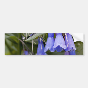 Bluebells Bumper Sticker