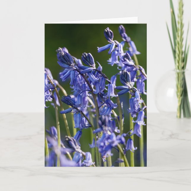 Bluebells - Greeting Card (Front)