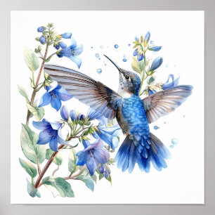 Bluebells Hummingbird Watercolor Print 