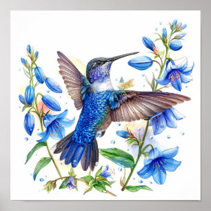 Bluebells Hummingbird Watercolor Print 