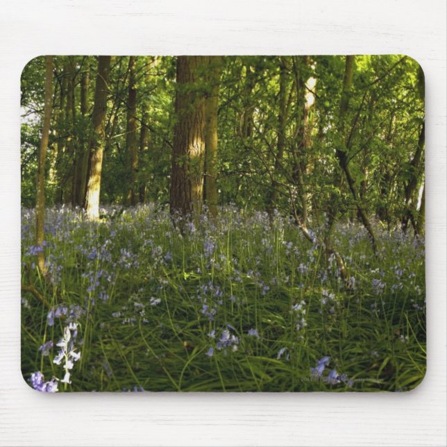Bluebells In A Forest Mouse Pad (Front)